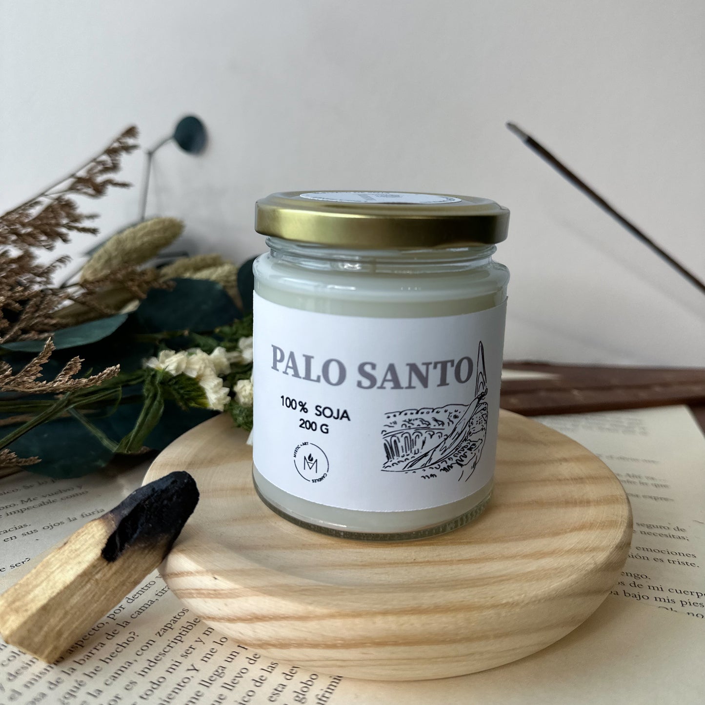 SANTO PALO